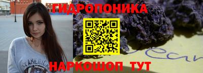 дживик Анжеро-Судженск