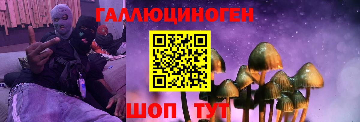 Галлюциногенные грибы Magic Shrooms Нижний Новгород